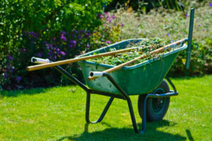 wheel-barrow-garden-clean-up