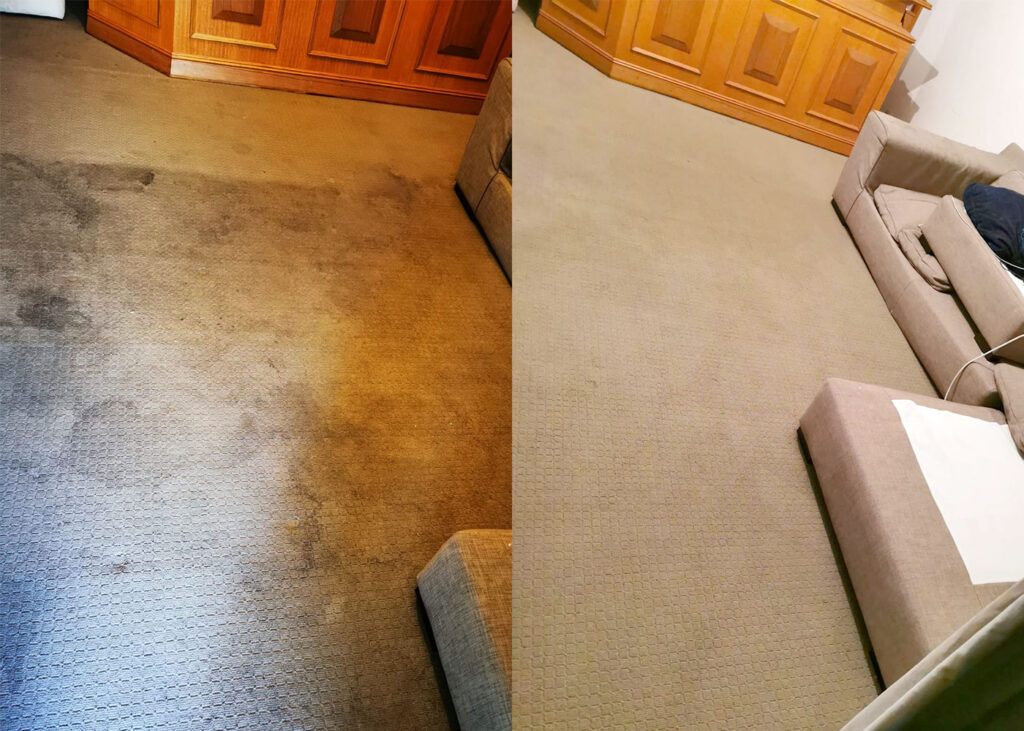 carpet cleaning