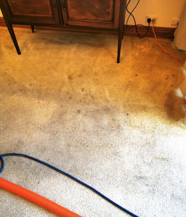 Deep Carpet Clean Stains 1a