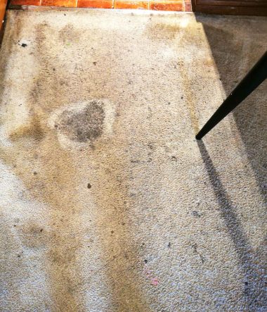 Deep Carpet Clean Stains 1b