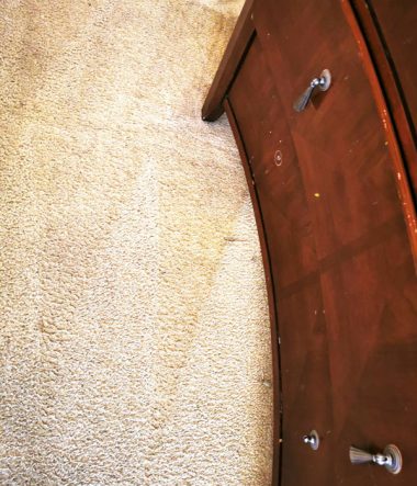 Deep Carpet Clean Stains 1g