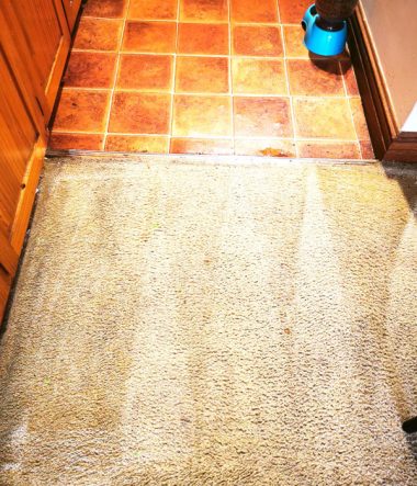 Deep Carpet Clean Stains 1h