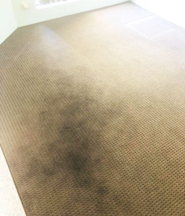 Deep Carpet Clean Stains 3​a