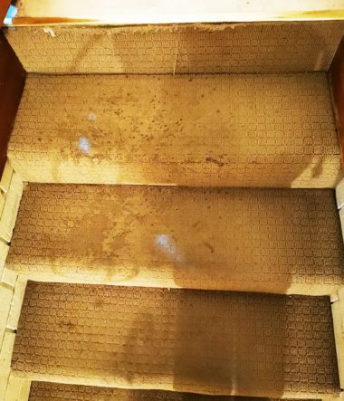 Deep Carpet Clean Stains and Stairs 1a