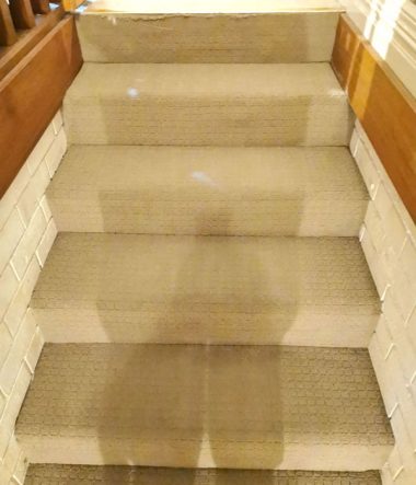 Deep Carpet Clean Stains and Stairs 1e