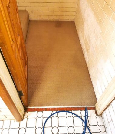 Deep Carpet Clean Stains and Stairs 1d