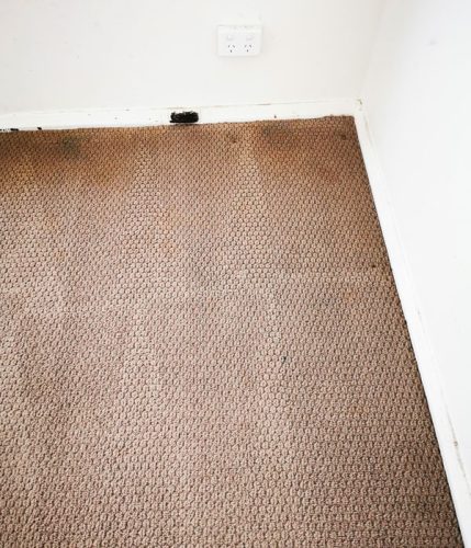 Deep Carpet Clean Stains 2c