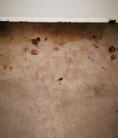 Deep Carpet Clean Stains 2a